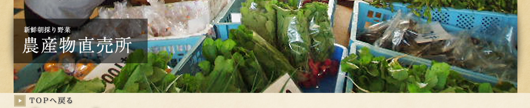 新鮮朝採り野菜農産物直売所